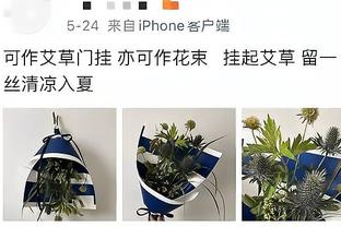 防线形同虚设⁉️拜仁战法鹰一场丢5球，此前12场只丢了9球